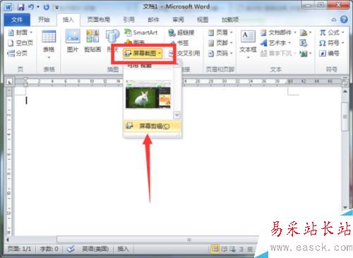 Word2010文档中屏幕截图功能插入图片