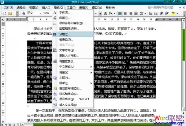 Word2003文档中怎么分栏