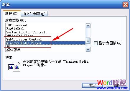 选中Windows Media player