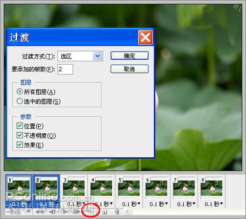 photoshop cs3教程：蜻蜓落荷花动画