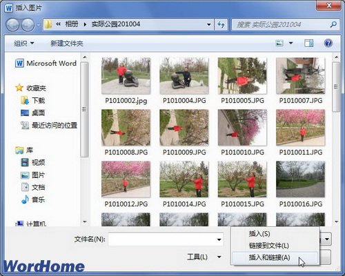 Word2010文档中插入可更新的图片链接