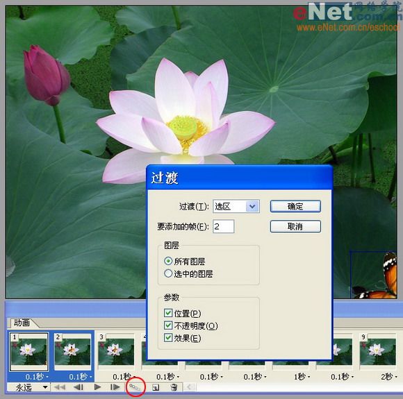 imageready蝶恋花 动画制作教程_网页设计webjx.com整理