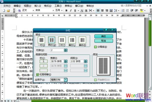 Word2003文档中怎么分栏