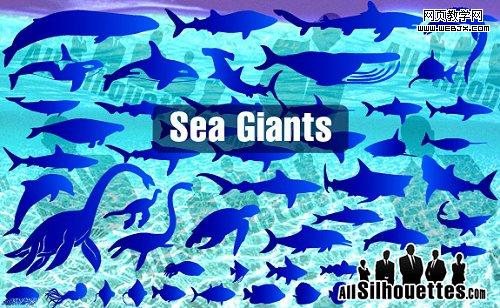 sea_giants