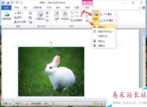 Word2010删除图片背景实现局部提取怎么做