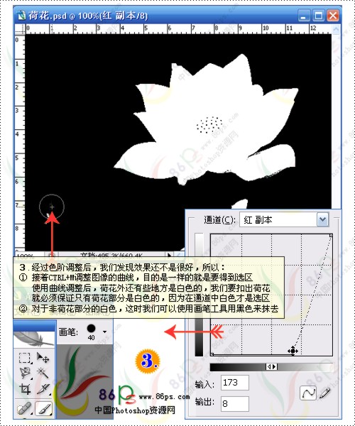 花卉照片处理 photoshop照片处理教程_网页设计webjx.com转载