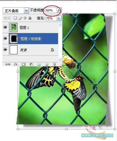 photoshop实例教程:打造照片立体环境效果-网页设计