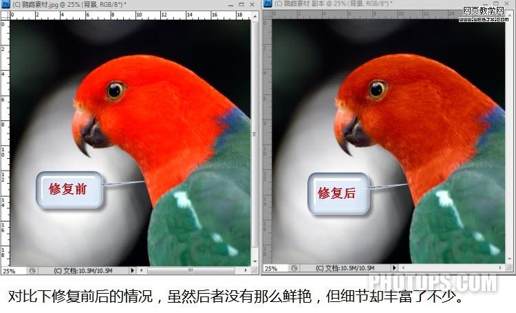 photoshop通道教程:修复通道调图片-网页设计