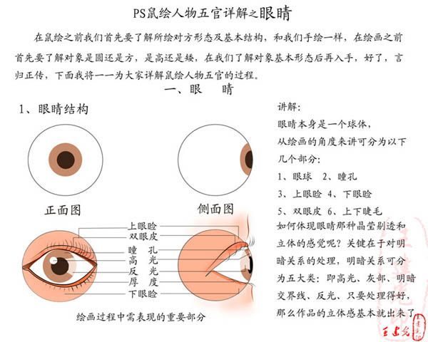 photoshop教程:详解眼睛的鼠绘过程_webjx.com