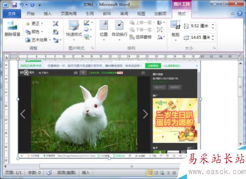 Word2010文档中屏幕截图功能插入图片