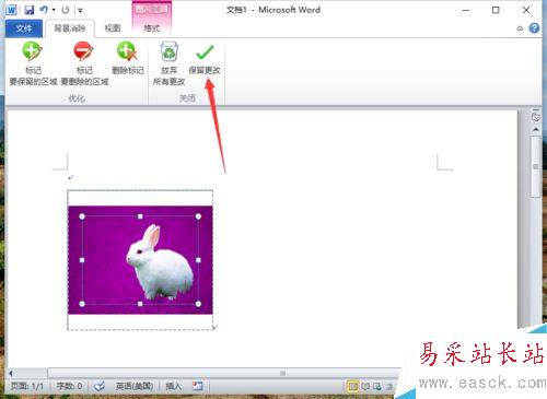 Word2010删除图片背景实现局部提取怎么做