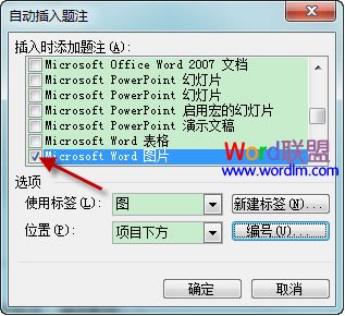 Word2003如何自动插入题注