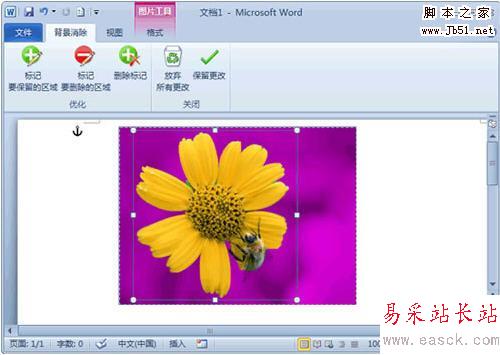 Word 2010去除图片背景小技巧