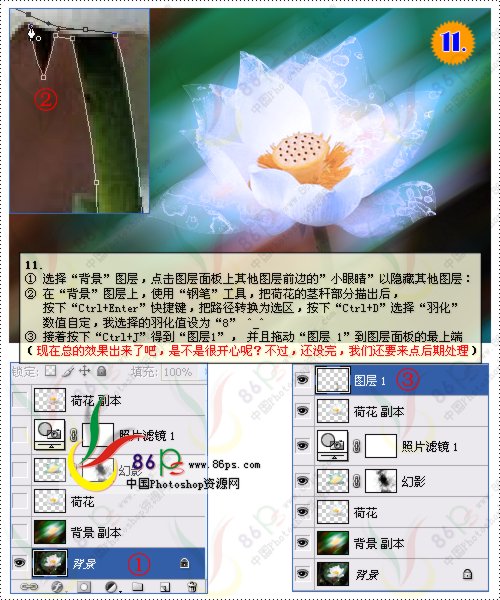 花卉照片处理 photoshop照片处理教程_网页设计webjx.com转载