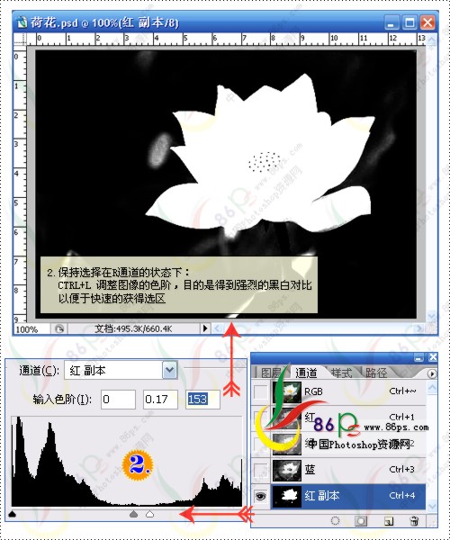 花卉照片处理 photoshop照片处理教程_网页设计webjx.com转载