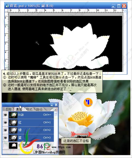 花卉照片处理 photoshop照片处理教程_网页设计webjx.com转载