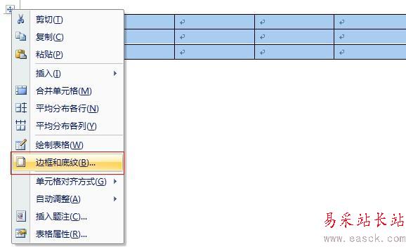 word2007表格边框显示