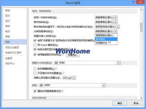 word2013从其他程序粘贴