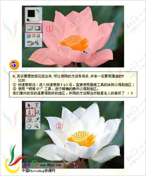 花卉照片处理 photoshop照片处理教程_网页设计webjx.com转载