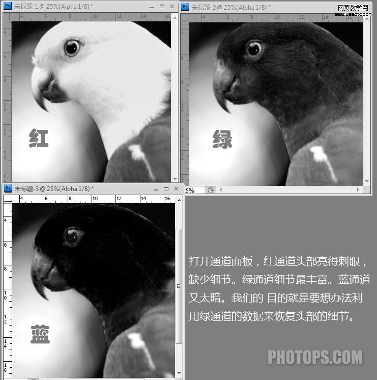 photoshop通道教程:修复通道调图片-网页设计