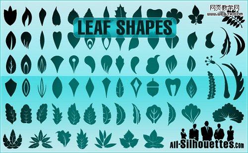 leaf_shapes