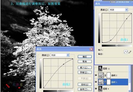 网页设计webjx.com整理