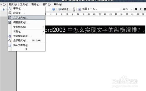 word2003中怎么实现文字的纵横混排？