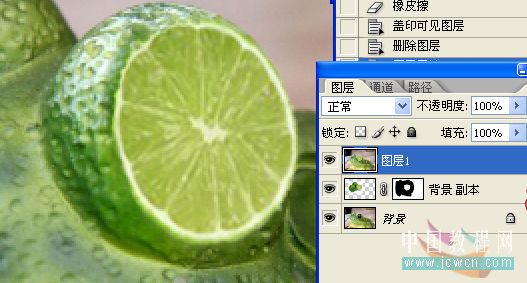 photoshop照片合成教程:变异的青蛙