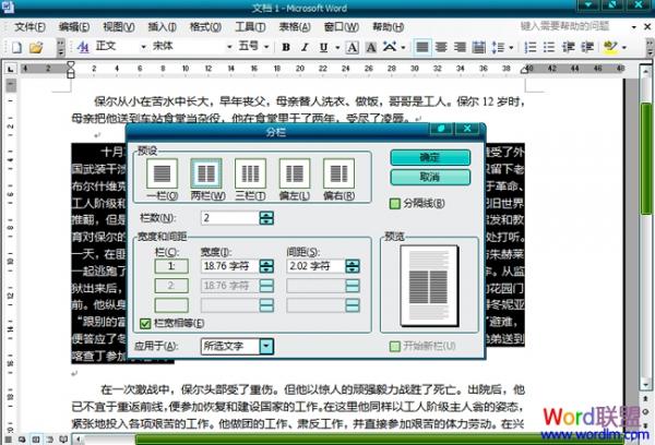Word2003文档中怎么分栏
