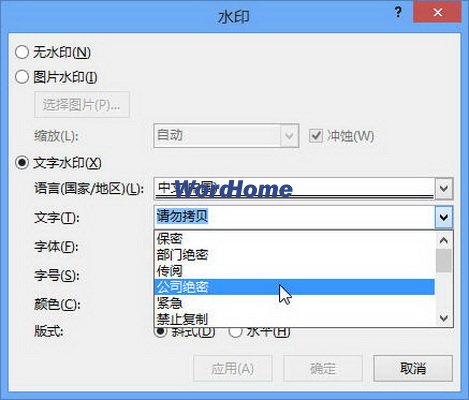 选择Word2013建议的文字水印