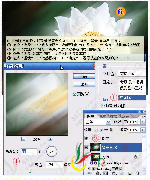 花卉照片处理 photoshop照片处理教程_网页设计webjx.com转载