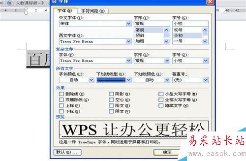 如何在Word(WPS)中给文字加下划线并进行设置