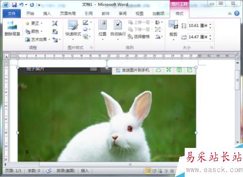 Word2010文档中屏幕截图功能插入图片