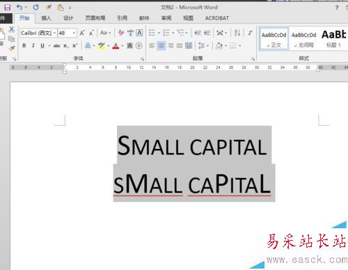 word设小型大写字母small capitals