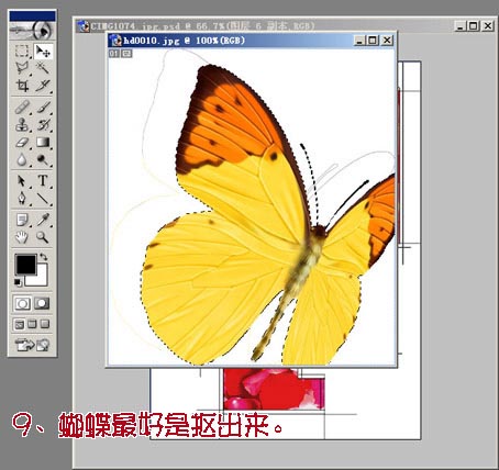 photoshop为mm数码照片做花落花开签名_网页设计整理