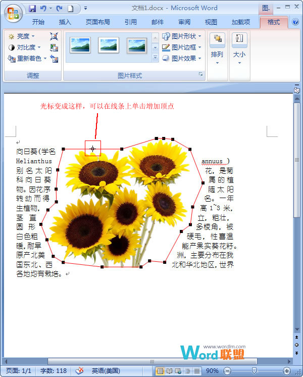 添加顶点