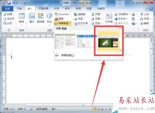 Word2010文档中屏幕截图功能插入图片