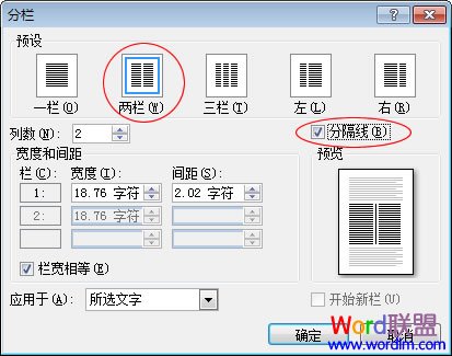 选择两栏和分隔线