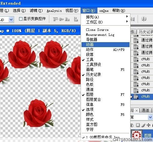 photoshop制作另类的红玫瑰花动画_webjx.com