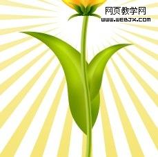 photoshop教程：绘制好看的花朵28