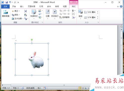 Word2010删除图片背景实现局部提取怎么做