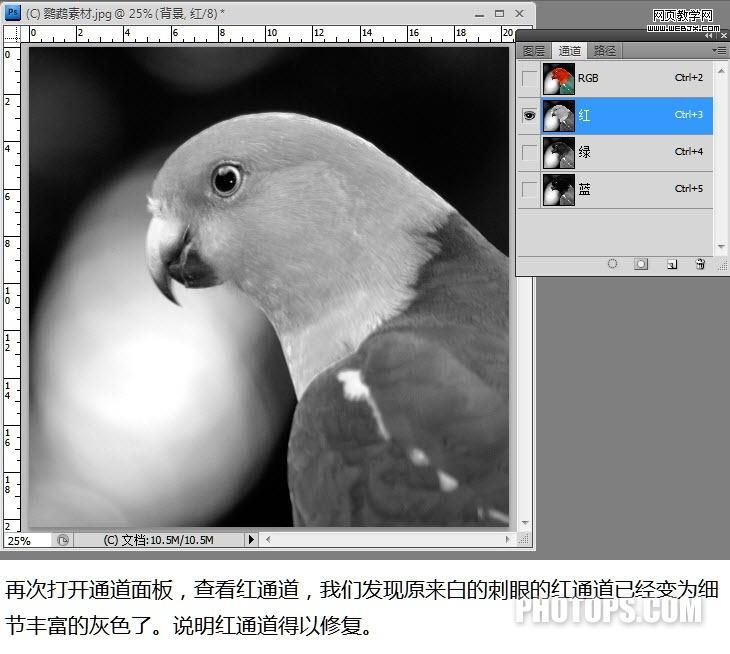 photoshop通道教程:修复通道调图片-网页设计