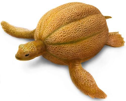 animals + fruits + photoshop