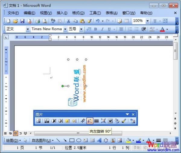 Word2003图片旋转 想怎么转就怎么转