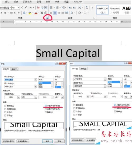 word设小型大写字母small capitals