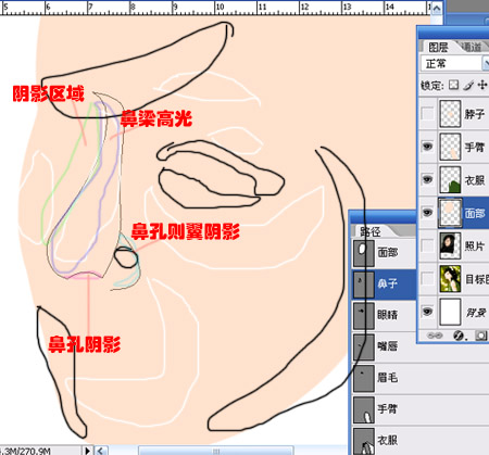 零基础鼠绘系列教程二之鼻子篇