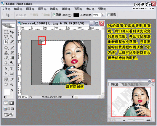 photoshop教程:制作淘宝网网店店标