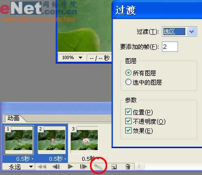 photoshop与ir打造荷花盛开动画_网页设计转载