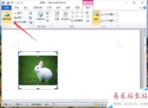 Word2010删除图片背景实现局部提取怎么做