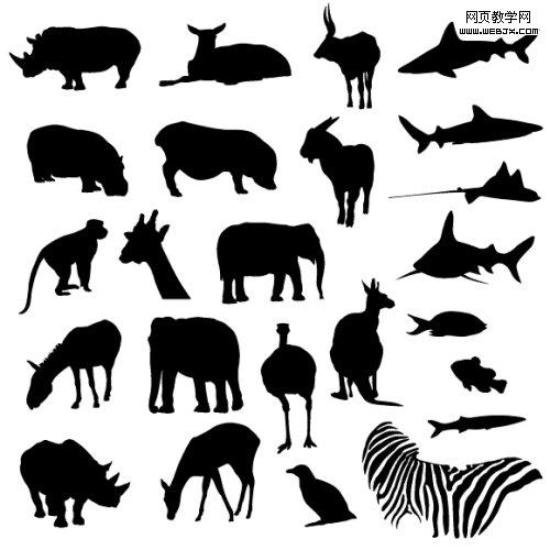 safari_animals